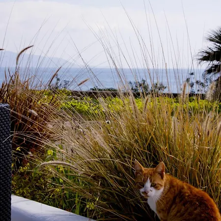 Julia's Studio, Familienfreundlich Am Meer,mit Xl Terrasse, Meerespanorama *