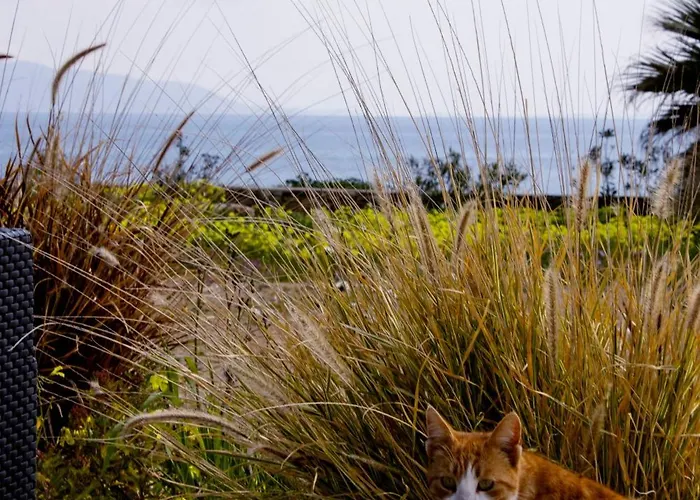 Julia's Studio, Familienfreundlich Am Meer,mit Xl Terrasse, Meerespanorama *